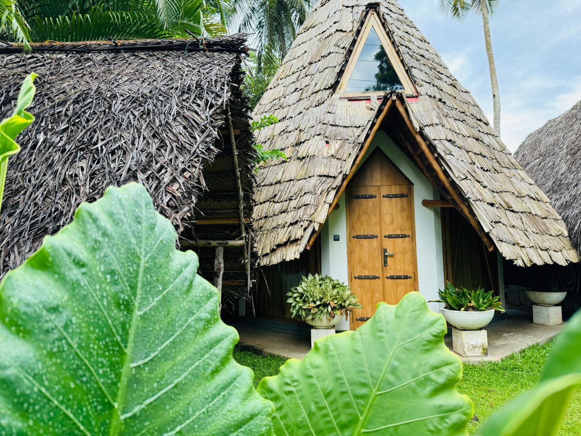 Turtle Wood Cabin Tangalle Exteriör bild