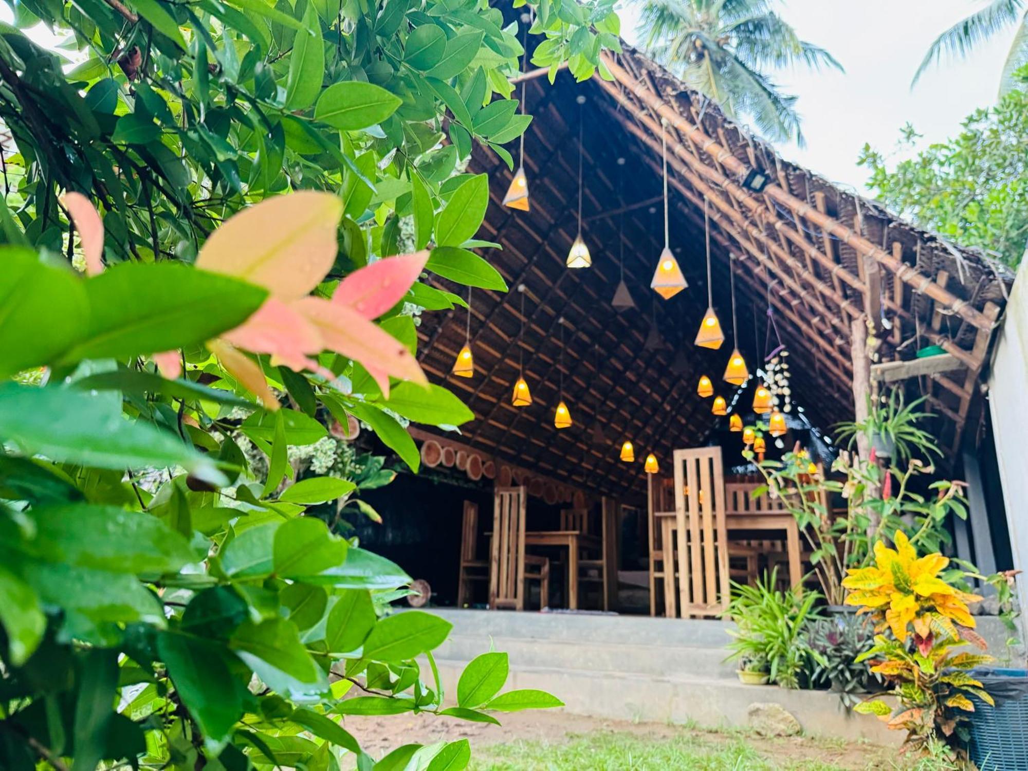 Turtle Wood Cabin Tangalle Exteriör bild