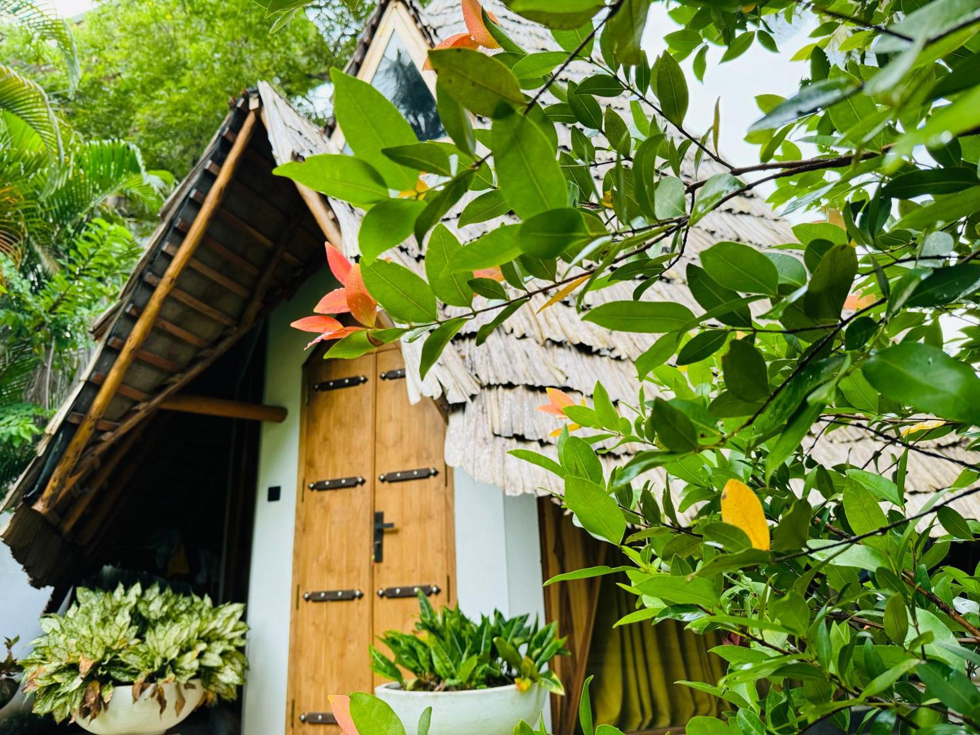 Turtle Wood Cabin Tangalle Exteriör bild