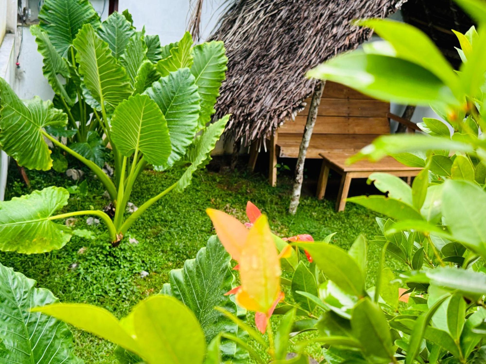 Turtle Wood Cabin Tangalle Exteriör bild