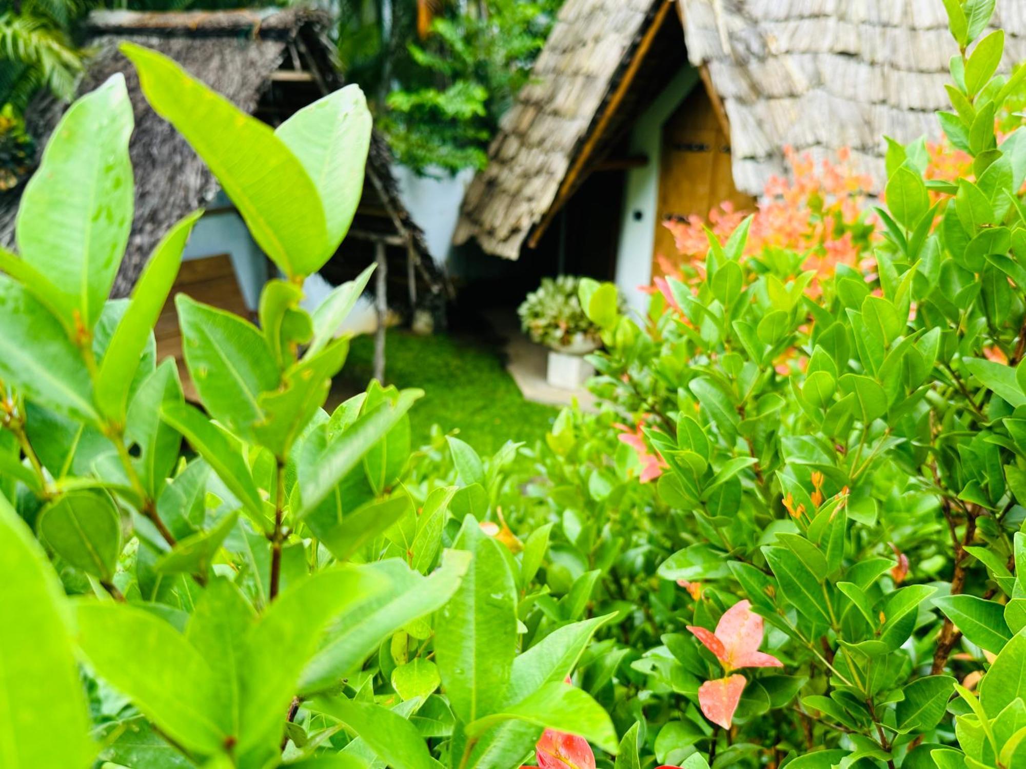Turtle Wood Cabin Tangalle Exteriör bild
